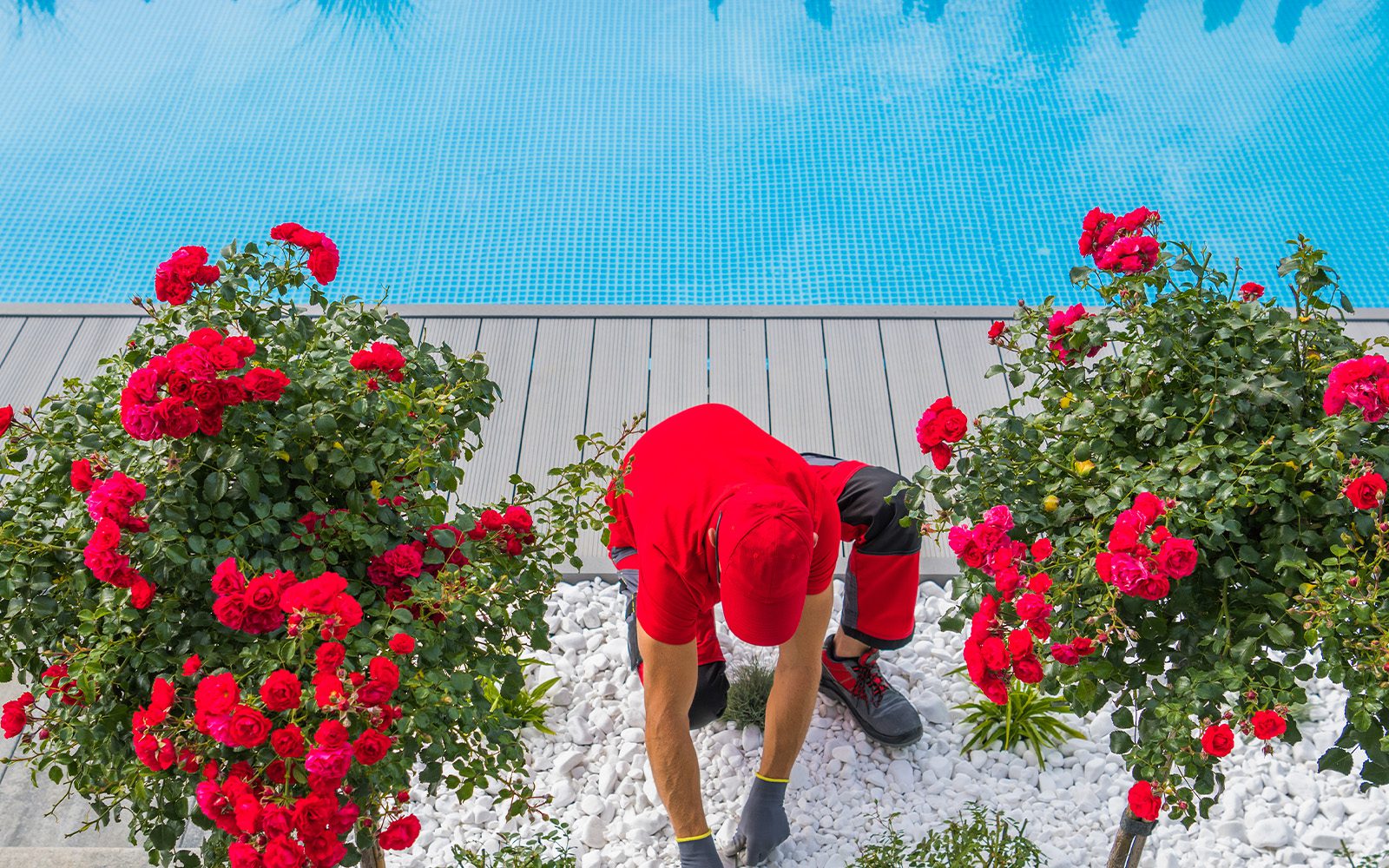 Elegant-Bau-Gartenbau-Landschaftsbau-Kolbermoor-garten-und-poolpflege